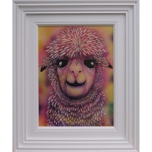 alpaca