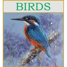 birds--graphic-may-wg-2022
