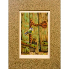 blue_tit_john_moriss