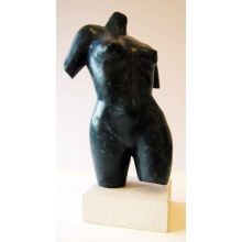 bronze_torso