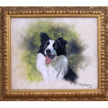 collie-fnl