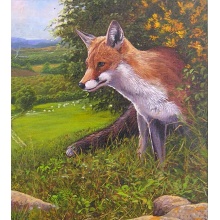 fox_zoom