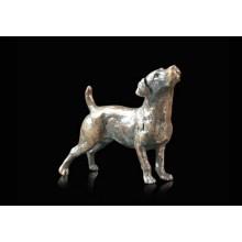 jack_russell