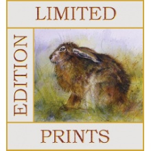 limited-edition-prints--graphic-2022