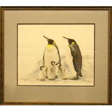 penguins
