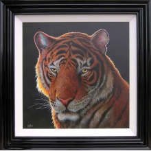 ric_duffield_tiger