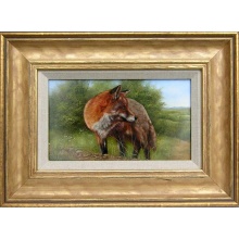 whitfield_fox