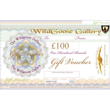 wildgoose-voucher-100-final-2024
