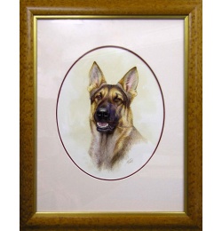 german_shepherd