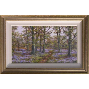 bluebell-wood