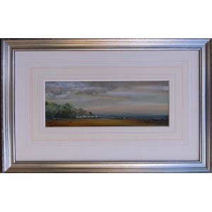brian_irving_shepherding_swaledales