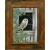 barn_owl_john_morris_870893001