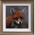 fox_cub_zoom_stephen_park
