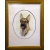 german_shepherd
