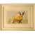 hare_fnl