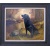 labrador_trickett-1760-1000-1100-80-c_3857952