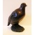 partridge_standing